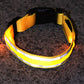 IllumiDog™ - Safety Dog Collar