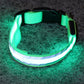 IllumiDog™ - Safety Dog Collar