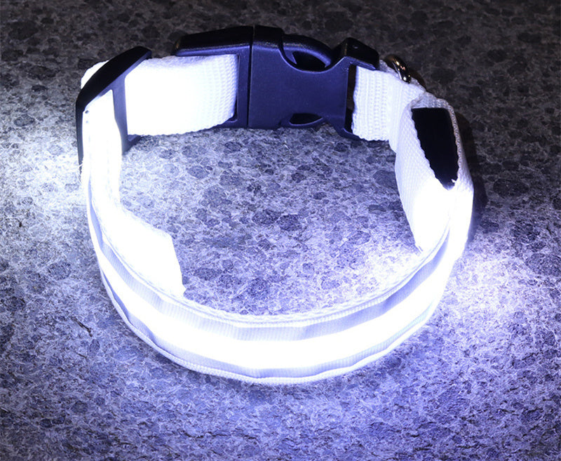 IllumiDog™ - Safety Dog Collar