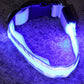 IllumiDog™ - Safety Dog Collar