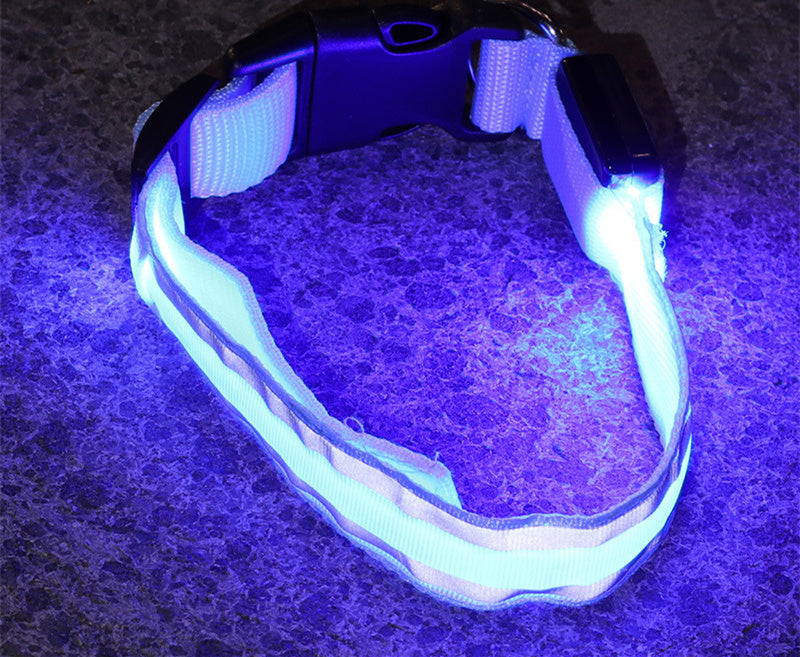 IllumiDog™ - Safety Dog Collar